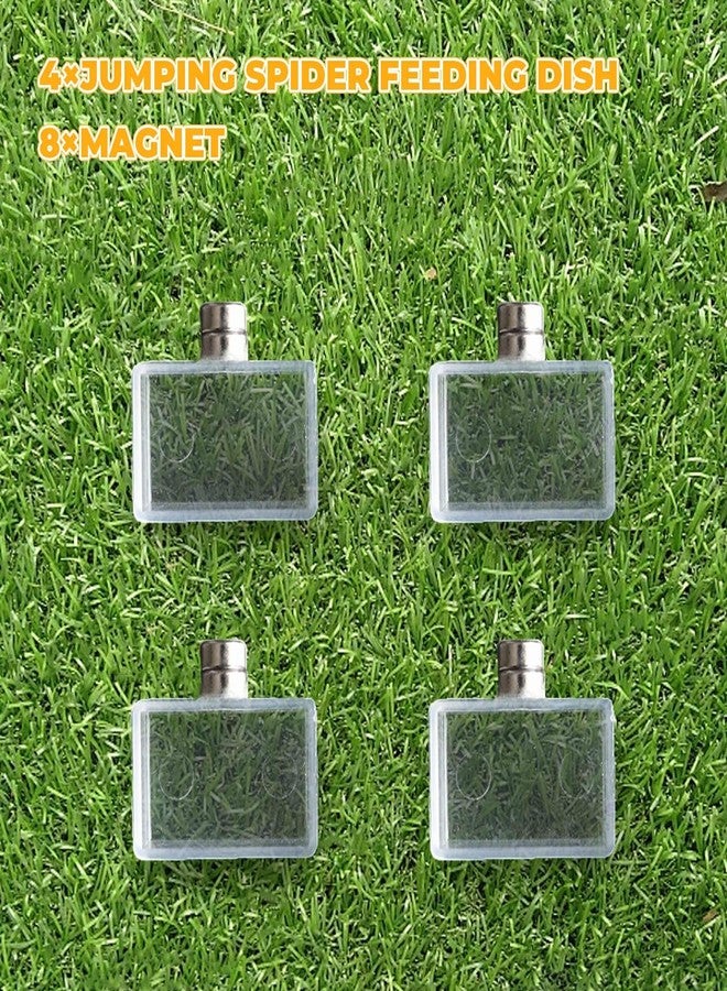 MHLLGN 4 Pack Jumping Spider Accessories, Tiny Water Dish with Magnet for Jumping Spider, Tarantula Enclosure Accessories, Little Food Bowl for Jumping Spider, Tarantula, Other Small Pets - Image 3